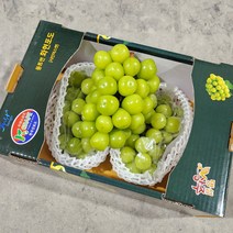 농장직송 프리미엄 샤인머스켓 명절 선물세트, 품질보장 특상 선물용 2kg (2-3수)