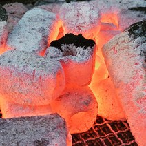 바베큐숯 대나무숯 업소용 캠핑용 숯 도매 5kg 10kg, 알뜰형 (5kg/1box)