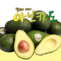아보카도 5과 [1.2kg내외/ 개당230g내외], 단품