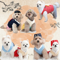 강아지 한복 옷 애견 배자 조끼 개량 새해 커플 의류 실내복 올인원 설날 고양이 원피스 반려견 남아 여아 치마 명절 추석 드레스 조바위 대형견 중형견 소형견 애완견 바지 모자 세트, 4.컬러풀보이즈한복세트