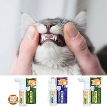코쿤펫 고양이 캣닢향 구내염 약 피부치료제, 롱스프레이 구내염치료제