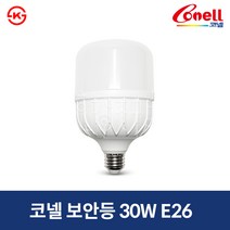 코넬 LED 보안등 글러브램프 30W E26 KS인증, 1개, 주광색