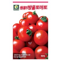 흑원경 가지 씨앗 100립 - 가지씨앗 채소씨앗 야채씨앗 종묘 종자 베란다 텃밭 채소재배 씨 씨앗 오이 호박 방울토마토 수박 참외 멜론, 16_다농_원홍5호 방울토마토(50립)