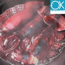 국내산 선동 급냉 초코오징어 통오징어 5미 1kg 통찜용 숙회용 초콜렛오징어