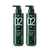 아모스 녹차실감 지성두피 프레쉬 샴푸, 2개, 500g