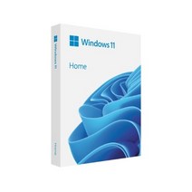 [정품키포함]신제품 윈도우 11 홈/프로 USB+정품키(인증보장상품) Windosw 11 Home/Pro, 윈도우 11 프로 USB제작+정품키