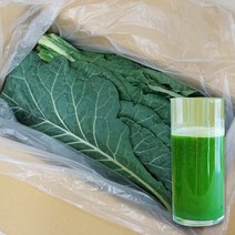 유기농 즙용 케일 1kg 2kg 3kg