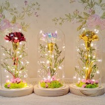 LED 크리스탈 홀로그램 골드 금 카네이션 레드 카네이션 장미 성년의날 로즈데이 유리돔 어버이날 스승의날 가정의달 드라이플라워 무드등
