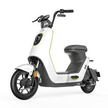 전기오토바이 자전기 출퇴근용 접이식전기 팻바이크 배달용 2인용 커플 충전용 시골 제주도, A 화이트, 48V