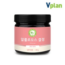브이플랜 알룰로스 분말 300g 알룰로오스 설탕 대체 대신 대용, 단품