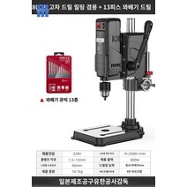탁상 전동 드릴링 미니 드릴 가정용 보루방, (드릴밀링겸용) 800W 프리미엄 에디션+13종세트 꽈