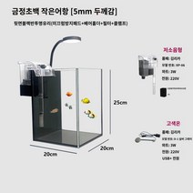 어항 가정용 거실 사무실 인테리어 작은어항 어항세트 수초어항세트 수초세트, F
