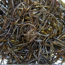 싱싱 제철 톳 생톳 2kg, 1개