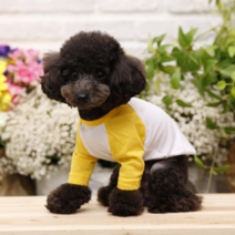 펫디자인 라인나그랑 티셔츠 강아지옷, 옐로우