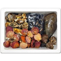 베이비망고 국내산 모듬조개세트 캠핑 필수요리 조개찜 조개구이 조개탕 2kg/4kg, 4kg