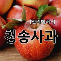 부사 햇사과 싱싱하고 달콤한 소미네 꿀사과, 1박스, 18.선물용or재수용10kg정품사과 (22과~26과)