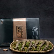 경성건강원 강원도 자연산 햇더덕 식감좋은 생더덕 선물세트 600g 18~24뿌리, 1개, 600g18-24뿌리