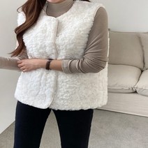 수키 푸들 털 조끼 1087583