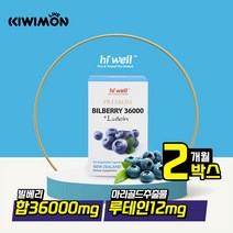 하이웰 빌베리 루테인 눈 지아잔틴 36000mg 60캡슐
