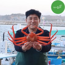 최고다농수산 홍게 산지직송 3kg 손질홍게 런칭이벤트 자숙비용 무료, 명품 홍게 3kg내외 7~12미 (자숙)