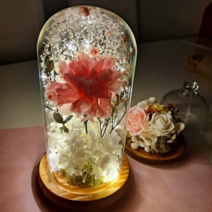퀴니토퍼 프리저브드 카네이션 유리돔 프리저브드 꽃선물 LED 무드등 어버이날 선물, 레드