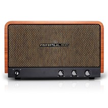 무료 브리츠 AirPulse P100X 블루투스 스피커 엔틱 레트로 스피커