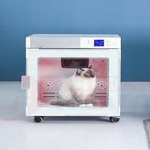 강아지드라이기 애견드라이룸 강아지 펫 작은 동물 헤어 자동 사일런트 개 애완 가게 미용 전용 건조 상자 목욕 용품 케어, 1.A