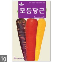 백작두콩 씨앗 10립 - 작두콩 작두콩씨앗 작두콩씨 콩씨앗 콩씨 씨 주말농장 텃밭, 03_모듬당근(1g)