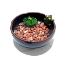 옹기수반어항 5종 및 수반소품, 연꽃어항(대)