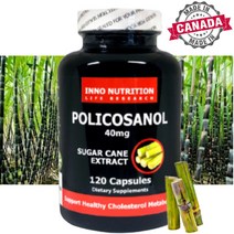 폴리코사놀 추출물 쿠바산 사탕수수 40mg 120캡슐 캐나다 이노뉴트리션 직구, 3병, 120캡슐(4개월)