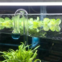 물고기 탱크 co2 모니터 유리 실린더 탄소 테스트 액체 co2 diffuse glass drop checker tester, 물방울 모양