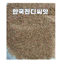 한국잔디씨앗 20g-3봉 정원 산소 공원용 짧게자람 더위 추위강 최신제품 파종레시피 마른모래증정