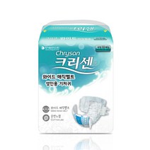 크리센 성인용기저귀 와이드 매직벨트 대형 10매 041113, 단품