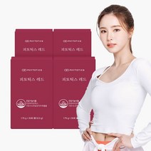 [피토틱스] 다이어트 유산균 가르시니아 캄보지아 추출물 함유 체지방 감소 50억 보장 레드, 120개입, 8주분