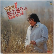 박일남 앵콜 메드리60곡 1집 (럭키서울/목포의 눈물) LP