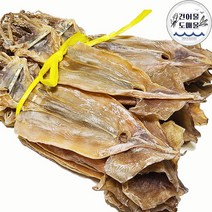 속초 건조 쫄쫄이 마른오징어 (원양산) 20미 한축 선물용 당일발송 마른오징어도매 안주 간식 중부시장 건어물도매몰, 1.0kg 내외(쫄쫄이)