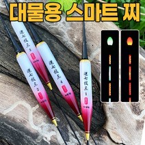 운칠기삼 레드 민물 스마트전자찌 올림찌 대물전자찌 (4타입)(주야겸용), 1호