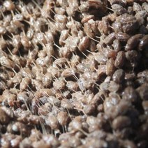 강원도 백이동골 재래식 국산콩 청국장 1kg 저염된장-72394EA, 1, 본상품선택