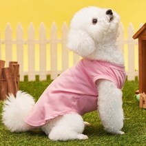 데일리 민소매 패션코디 나시티셔츠 애견노령 소형견, 하늘색_M