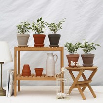 무늬 벤자민 고무나무_독일 스팡 토분 3colors, 독일 스팡 오렌지(13cm)
