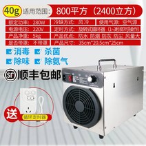 오존 발생기 소독기 농장 공기 청정기 탈취 농업용, 경제형 40g(최대 800제곱미터)