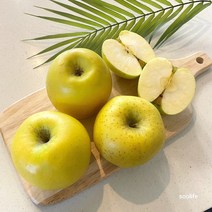 황금 노란 사과 시나노골드 스위트 당도엄선, 주스용 시나노골드 10kg
