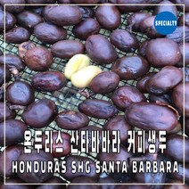 (커피생두) 60 온두라스 산타바바라 SHG 1kg