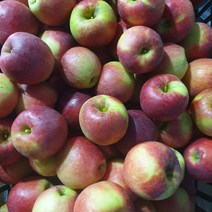 박가네 케이원 사과 미니부사 미니사과 3kg 5kg, 한입크기미니사이즈사과5kg