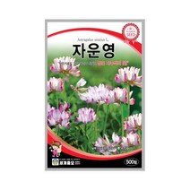 모칸도 (무배)세계 자운영꽃 꽃씨 (500립), 1개