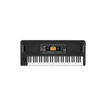 KORG 엔터테이너 키보드 EK-50 스피커 내장 자택 연습 야외 연주 카페 라이브 자동 반주 즉흥 연주 전지 구동 가보면꽂이 어댑터 포함