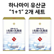 하나마이 1+1 프로바이오틱스유산균 2개세트 60일분 장건강 합리적구매 관부가세포함