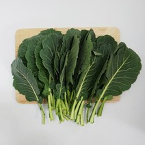 케일 1kg 국내산 쌈채소 특수야채, 단품