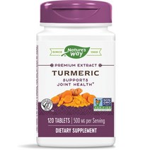 네이쳐스웨이 강황 500mg 타블렛, 120개입, 1개, 120정
