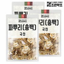 국내산 건조 파뿌리 파뿌리차 총백 대파차 300g x 3, 3개